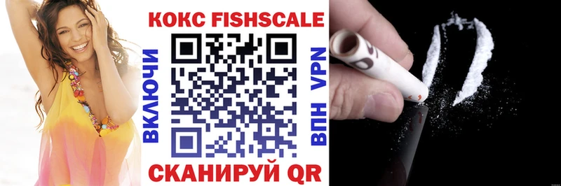 Купить закладки  Сольцы  Cocaine FishScale 