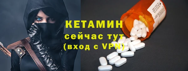 сатива Бородино