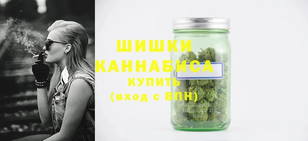 сатива Бородино