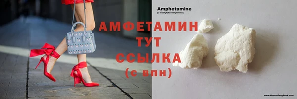 сатива Бородино