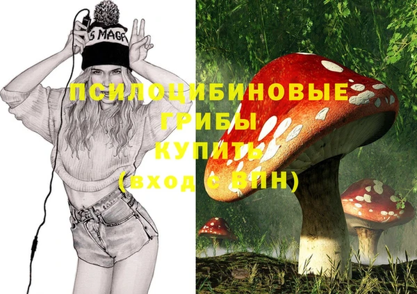 амф Бронницы