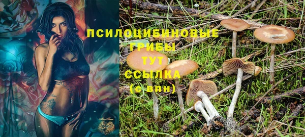 амф Бронницы