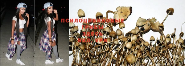 твердый Бугульма
