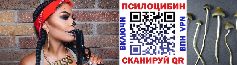 Галлюциногенные грибы MAGIC MUSHROOMS  Купить  Сольцы 